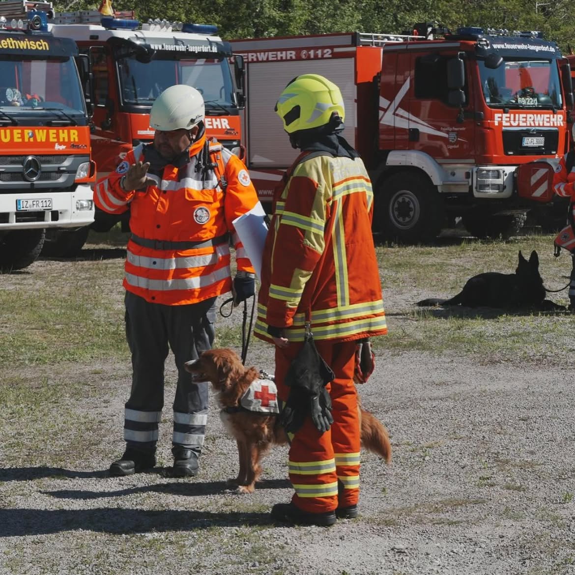 Übung mit Rettungshunden