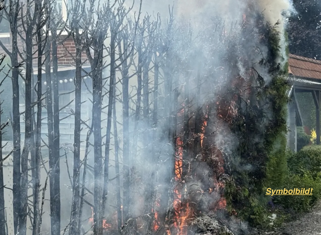 FEU brennt Hecke an Gebäude